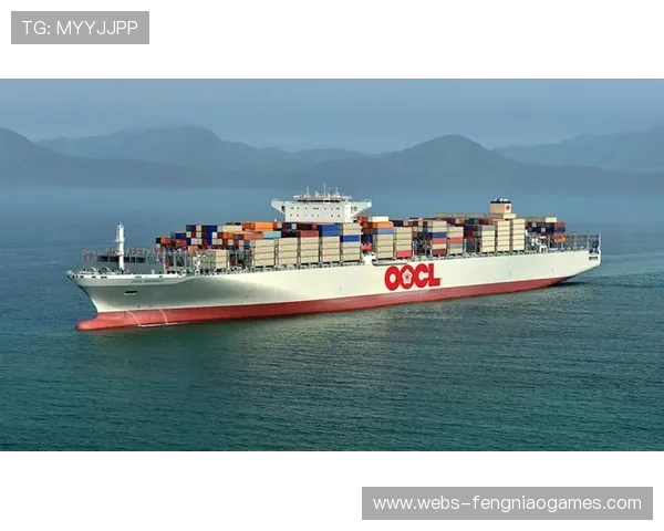 欧冠决赛海外举办可行性研究：法律与物流挑战分析